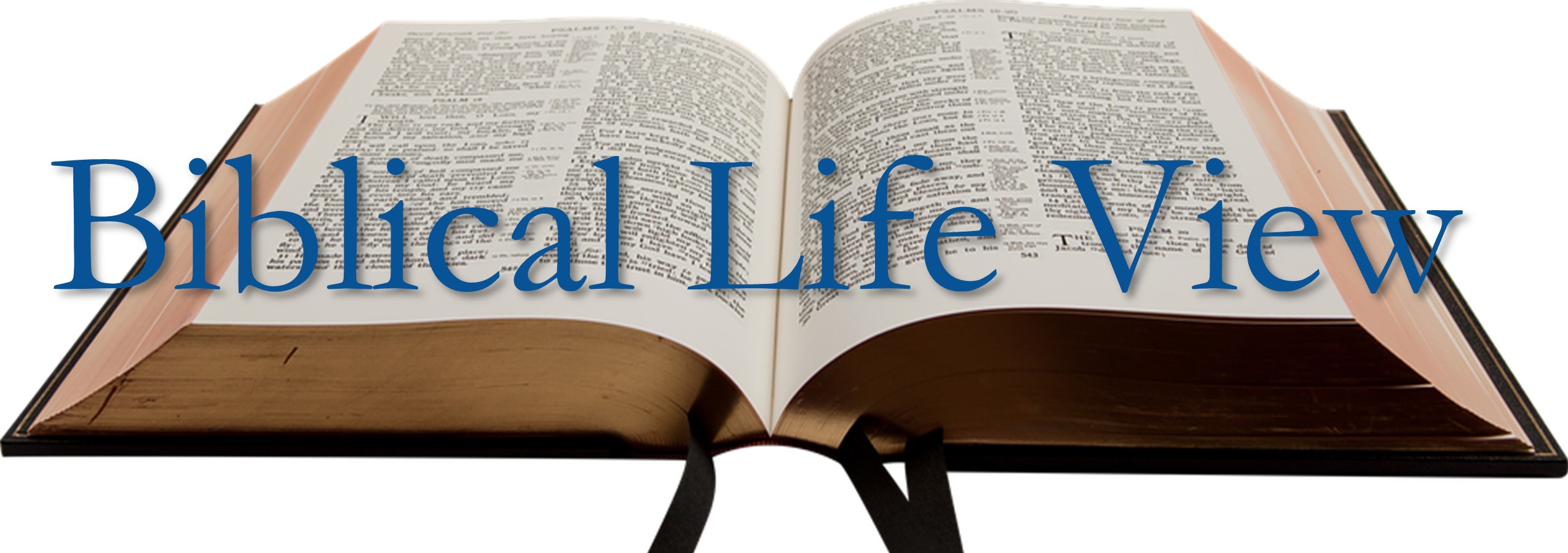 Biblical Life View